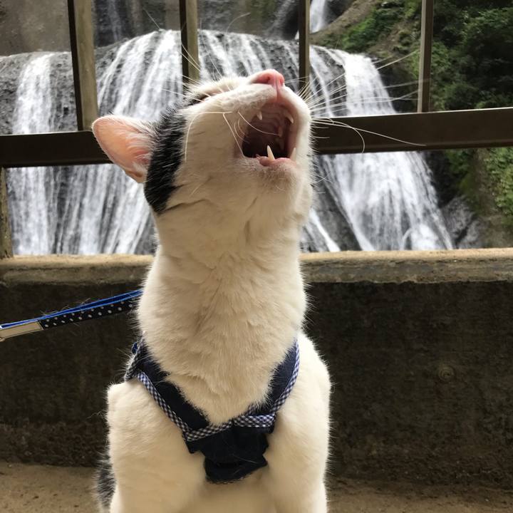 C64057e8 fb8a 40c0 b0ac f2ecb1fa7320 1565746811728