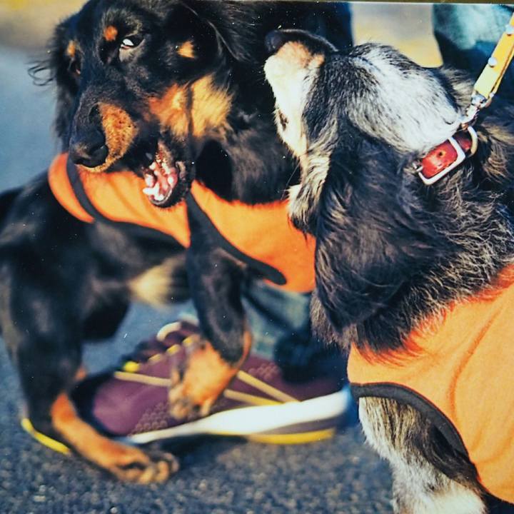 C64067f5 0f9d 41a5 8714 1c3ce2e715e7 1509762229193