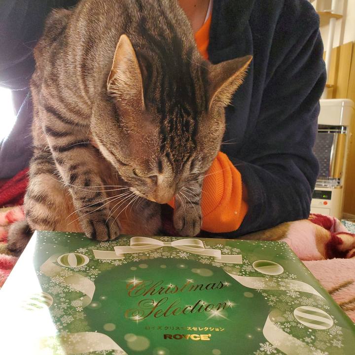 C64071c4 0f35 4ff3 9a64 0f172e1feb80 1703676893176