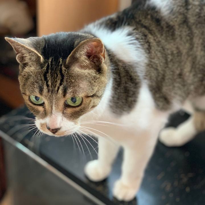 C6409adc 52f6 4619 88b9 7144b5211e93 1557710291367