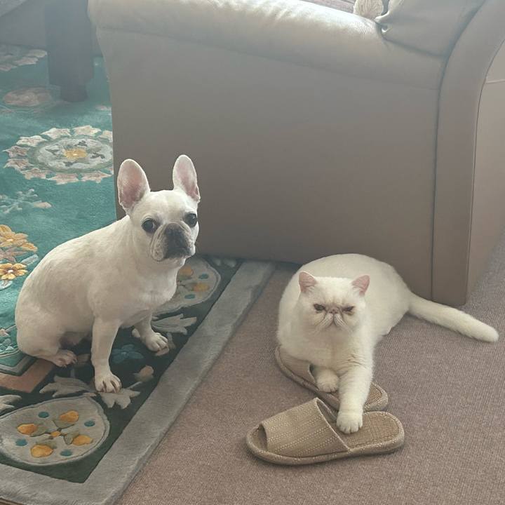 C640b2be bce1 4cb9 b318 405b264751ad 1692843675740