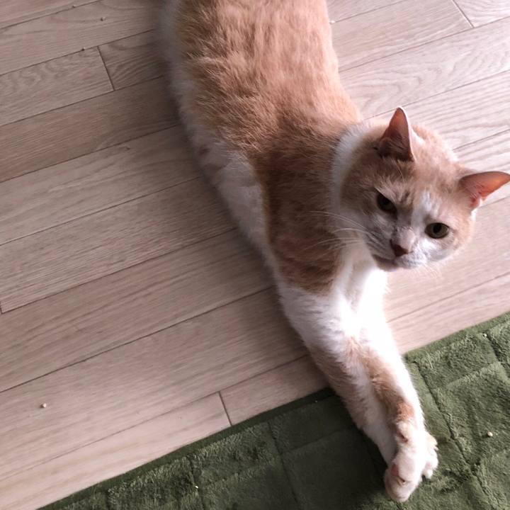 C640ba86 fb04 40f9 ae82 863c424a0aa2 1537446238388