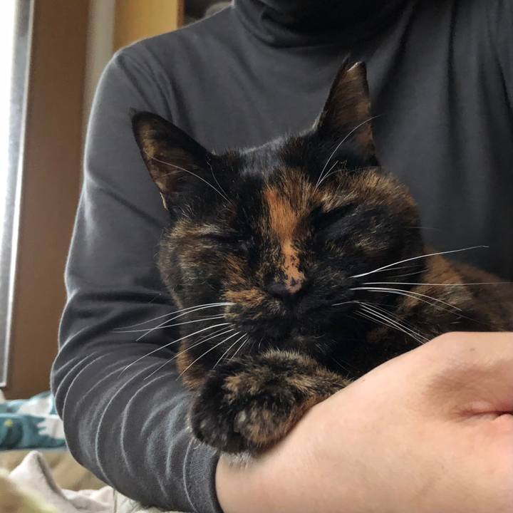 C640bfef 356a 4782 9c3e 7a6e8df7cf4f 1652745878329