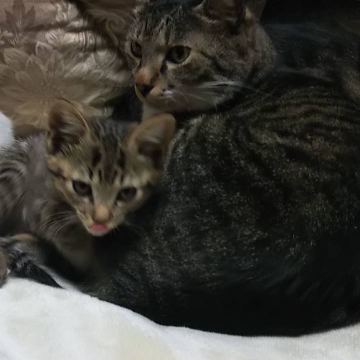 C640c857 b954 4ca6 829f 7a280c7089d7 1641870381379