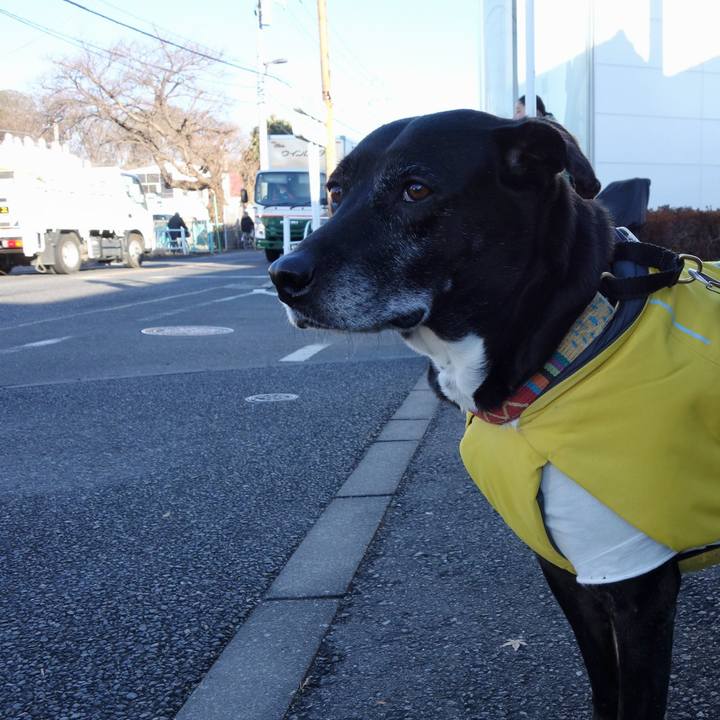 C640d383 8675 40dc bc52 22103ce3079d 1738627565536