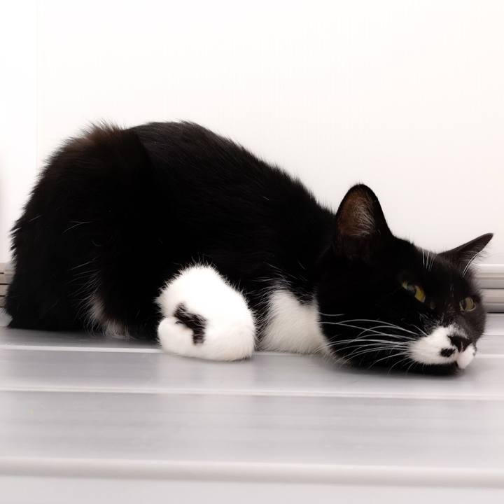 C6412a2d cec3 4329 8472 c4eea702594f 1548600586334