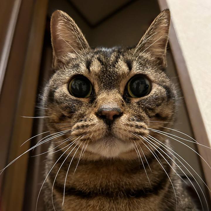 C6414d39 d02a 474c 9e26 1bdbad553e0d 1677848050554