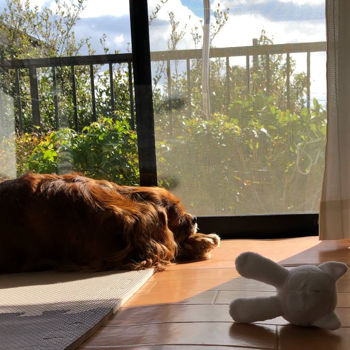 C641521a 1df5 48d4 b30d d7901df1e3b7 1637728186040