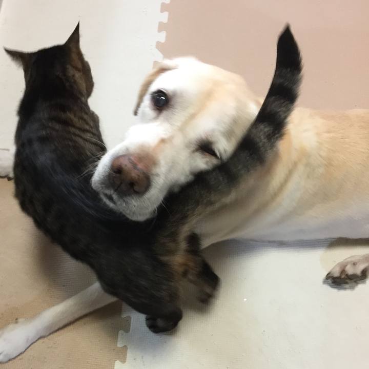 C6418409 cc26 4761 b2af 0fca0d197809 1509573890125