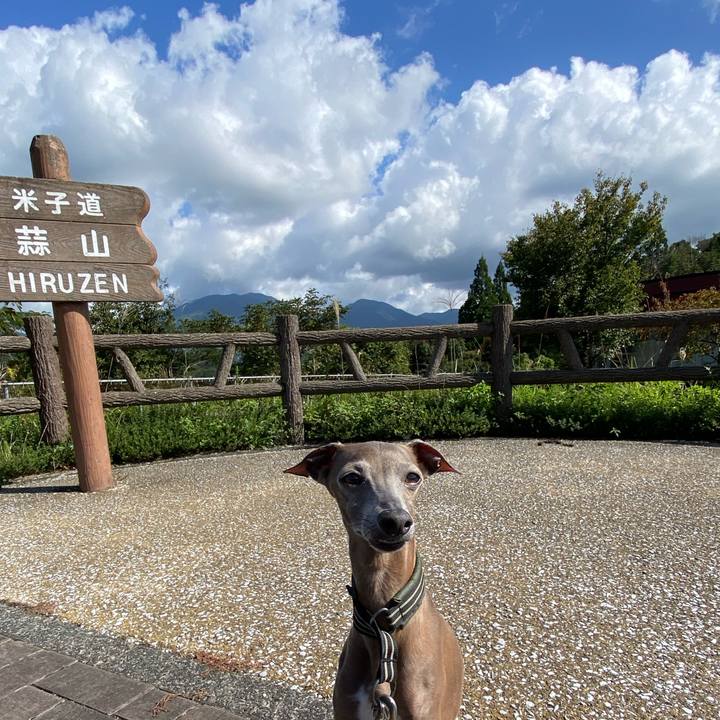 C641f499 5fdc 4b7c 9179 c7bf92513675 1759281643448