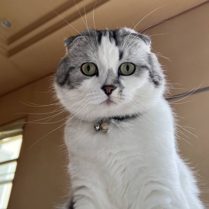 C64230ef 258e 45c9 a5cc df4b40f75f54 1745197094808