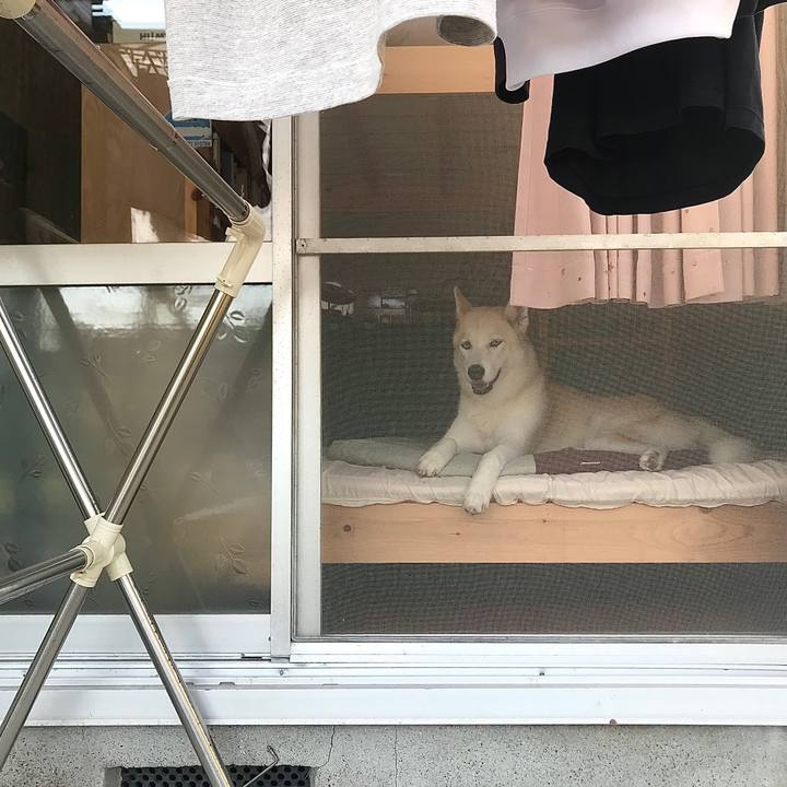 C6423165 bb72 4f29 b909 a68ccc65b27d 1762585346495