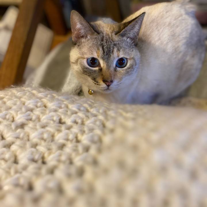 C6425200 9e45 4909 8a51 21abd81aa4ba 1709363907573