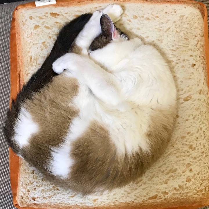 C6425710 ac67 4cb6 a0da c23d46ebcbfe 1550667386249