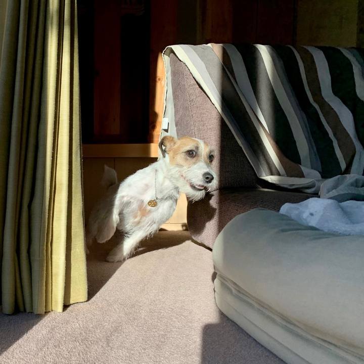 C64281fe c8c8 4db2 b664 9df6767982cb 1613720641021