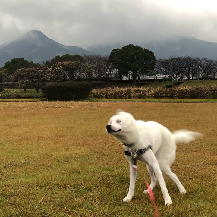 C6429fb7 98b4 4da2 9601 596b283e5338 1546645238736