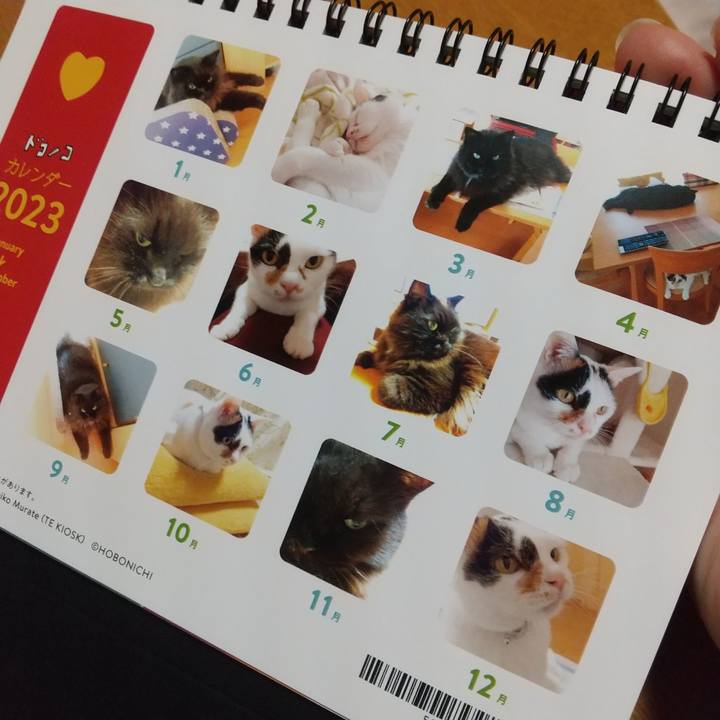 C642b4b3 9b07 4b74 b62a 121cfd257410 1671097418946