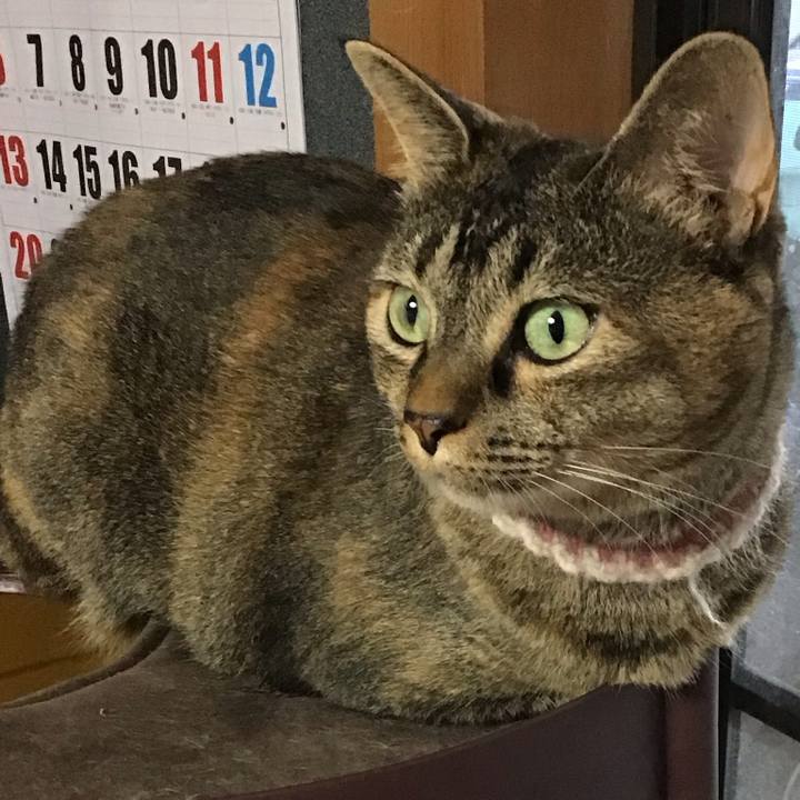 C642d618 2647 48cb a297 4f50df4dfea7 1691759102155