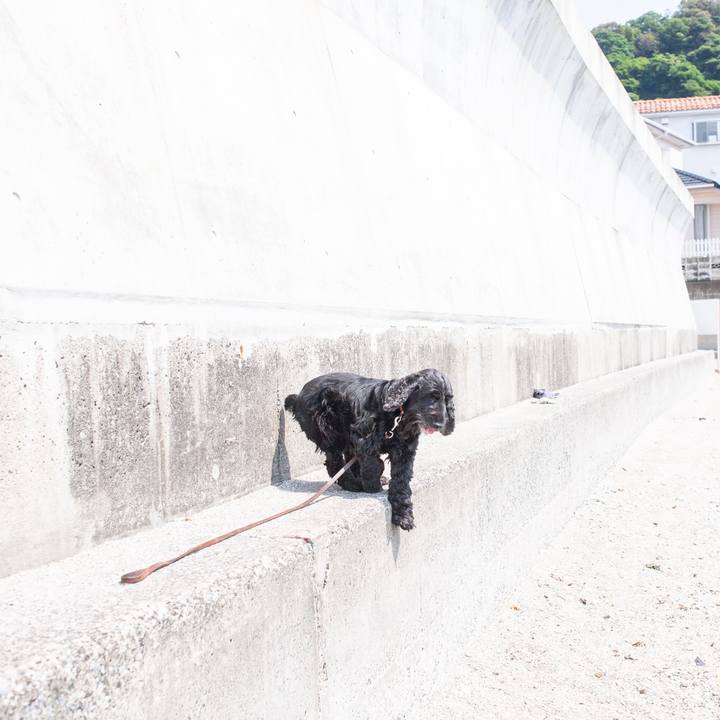 C642f321 0556 4134 a1c3 7a30ea765f5d 1566443016888