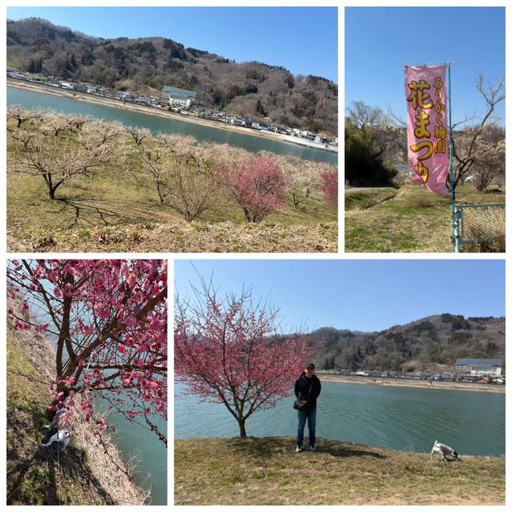 C64305dc 1e62 4091 bd54 a195afb641f9 1774098347245