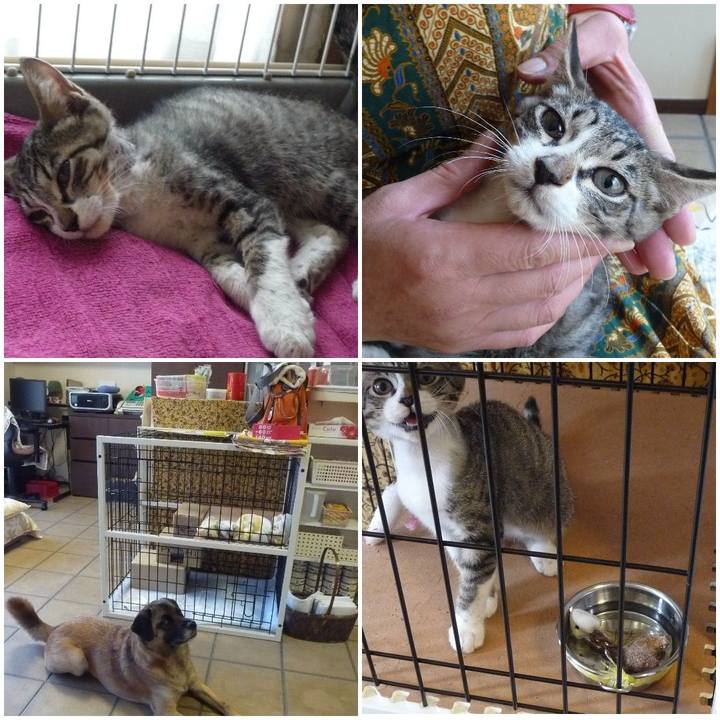 C6430a51 cb16 4f0b 862c ec850d6c4e5d 1577061912789