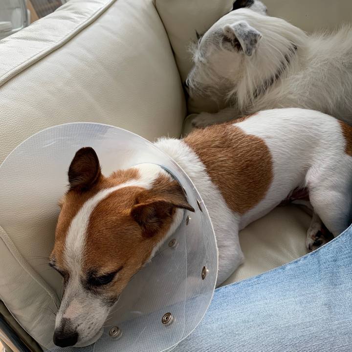 C6432703 292c 4682 bdaa 2bd42febec5b 1570509074105