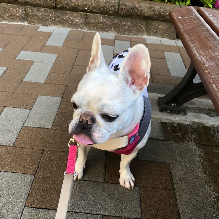 C6434123 1018 4640 8600 7e03b818b1d9 1618705314319