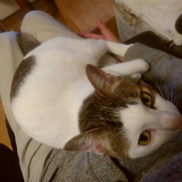 C6437066 e2a6 4c4c aaab 4722586edb8e 1666608610541