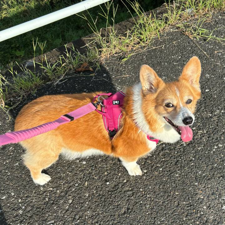 C6437516 488f 4190 8980 a3620e7e3ec4 1726357591232