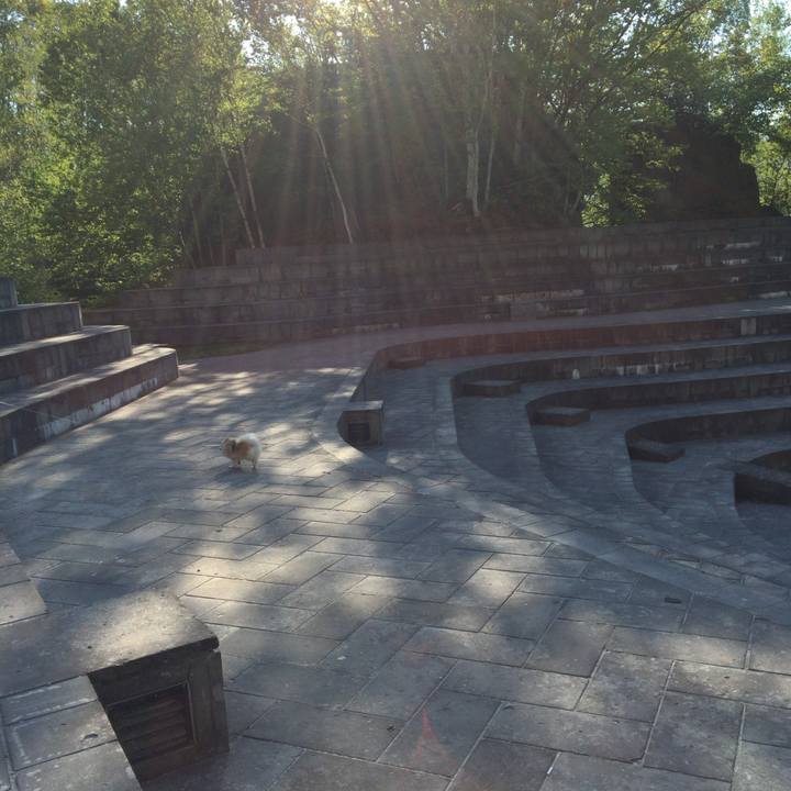 C64399c3 46f2 479f b5b7 ecab3852d455 1526878904454