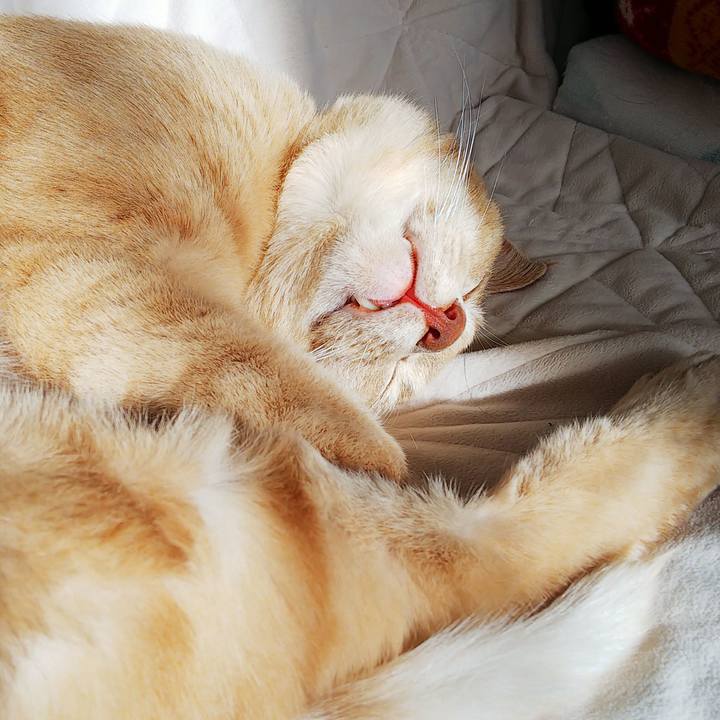 C643dce8 bf52 44e0 9154 dd41d6d521a1 1667088538100