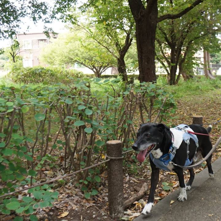 C6440343 8176 461a 9c50 1118c97c6d57 1756684646443