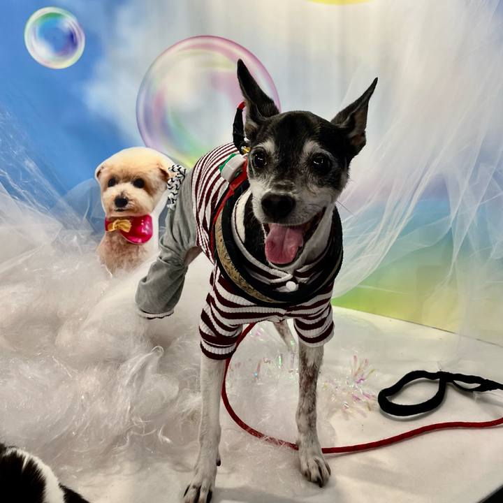 C6444025 b329 4915 82fd 549a090646a2 1651662191113