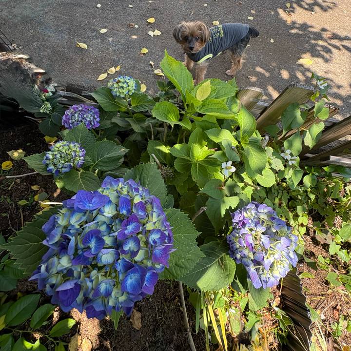 C6445cf3 d9ef 4912 9f9f f0b22ca51749 1748743446358