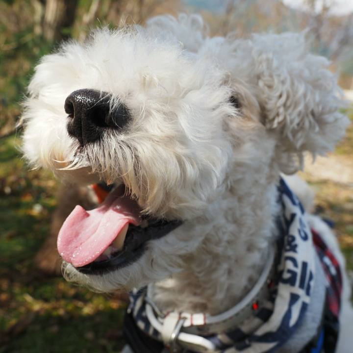 C6448566 c169 42b0 b84a 8361491f0228 1509767906525