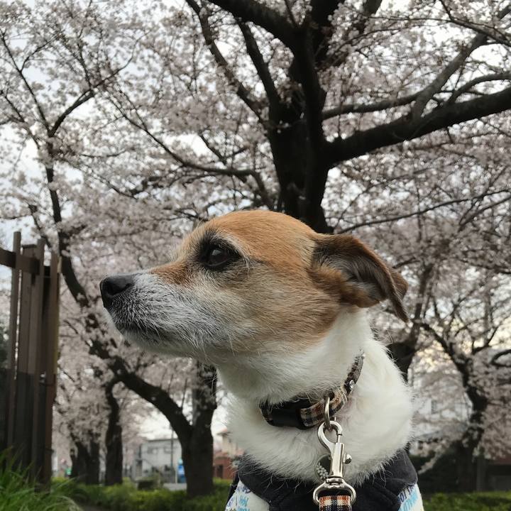 C64490ec 7b6c 46d3 a11e 4e626e9d7af1 1585270893793