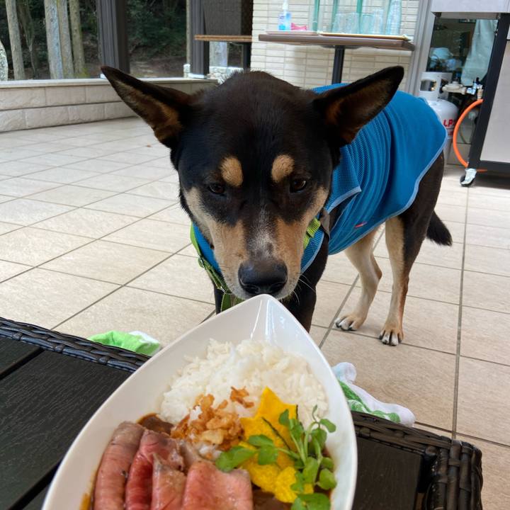 C644f158 9f3f 4adc 835d e33de1fa4435 1597466518134