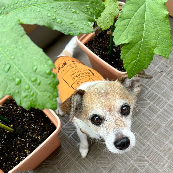 C644f871 43c8 405c a21e 26f61b049386 1688186718900