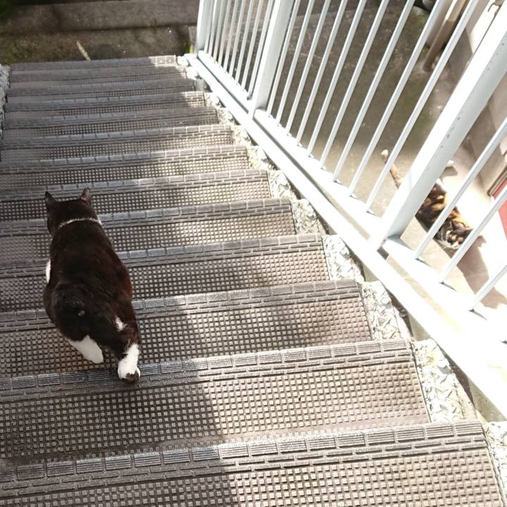 C6451836 9ad0 4cbe acbd 16c48d7dc4d6 1594093387838