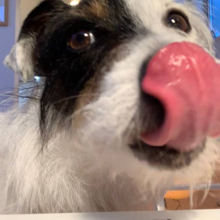 C64566ee 0f94 4e32 b518 37adc94b4340 1589708512986