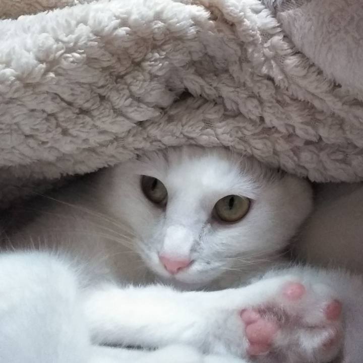 C6457d91 7074 4ab7 aaa2 09f91052b3bf 1655375376131