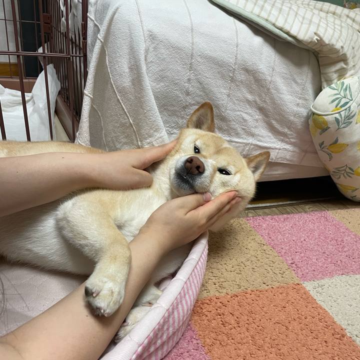 C6458064 915e 4547 8875 74a87daa10ad 1687957059084