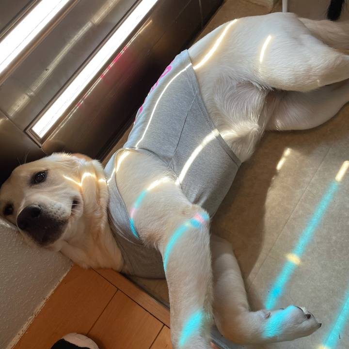 C645b640 9cca 4579 9f3d 0171c0317904 1623202064987