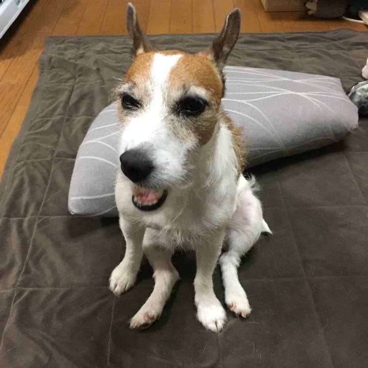 C646133a 2d05 4231 a2bb 65d16b987b66 1598483285785