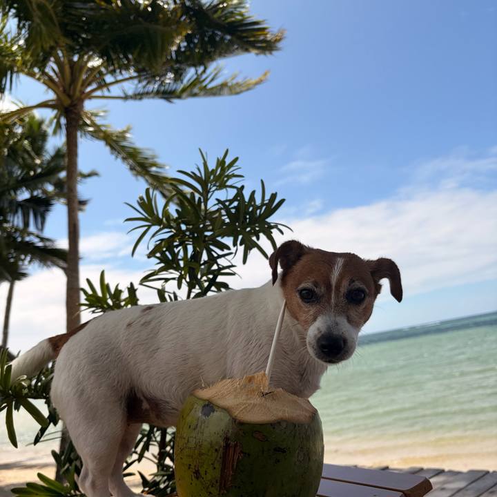 C6461b36 b53f 431d 8af6 720c762edaaa 1766818505062