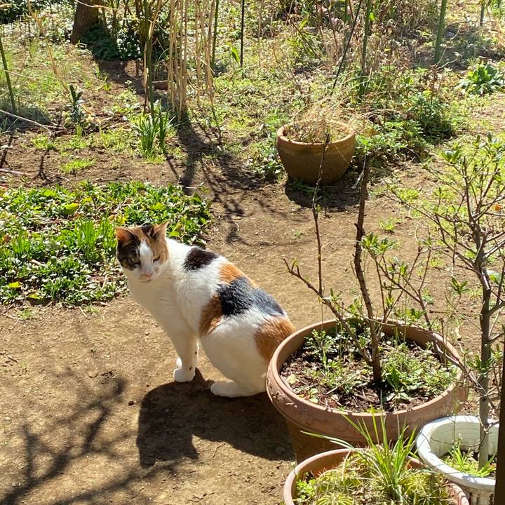 C6462085 8d0a 423f 8e20 464fa757211d 1583470188268