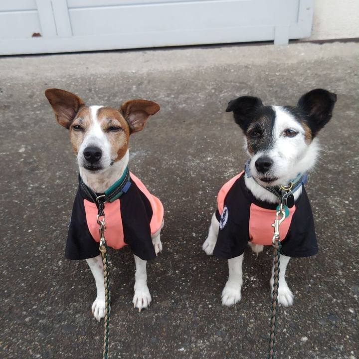 C64660a3 148b 4e91 be05 31bbe465fd3a 1756078705830