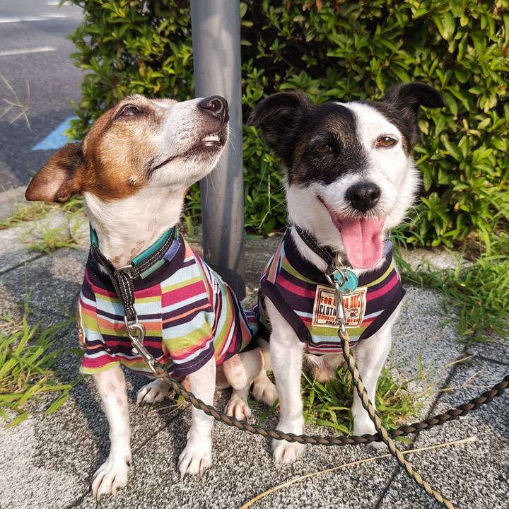 C6469f4f 4463 47a2 92a4 ec4efb356319 1752012831321