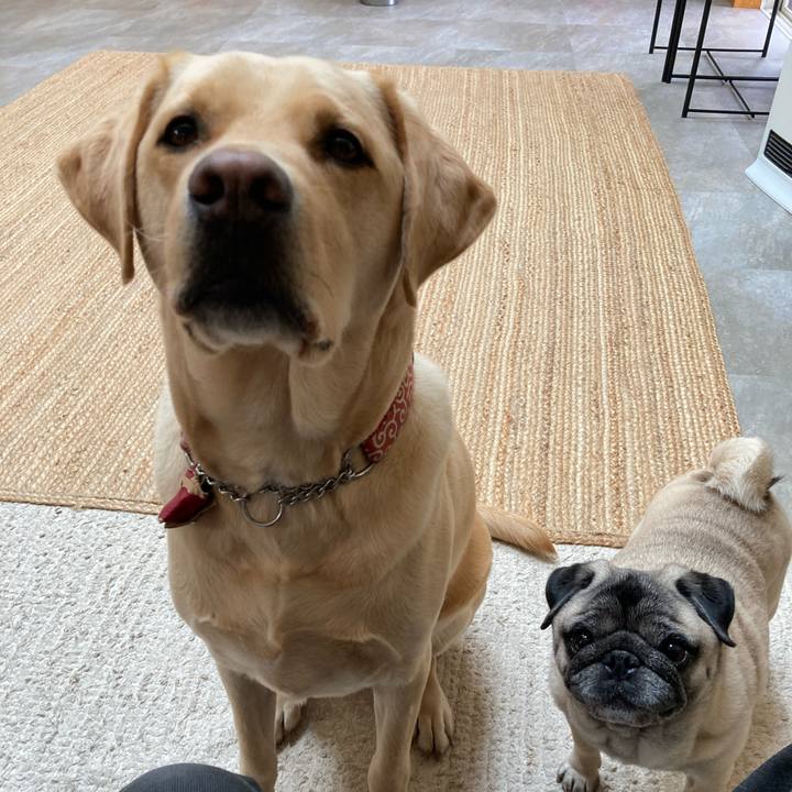 C646c8d7 4393 44a7 8b73 a349af636c29 1774870533607