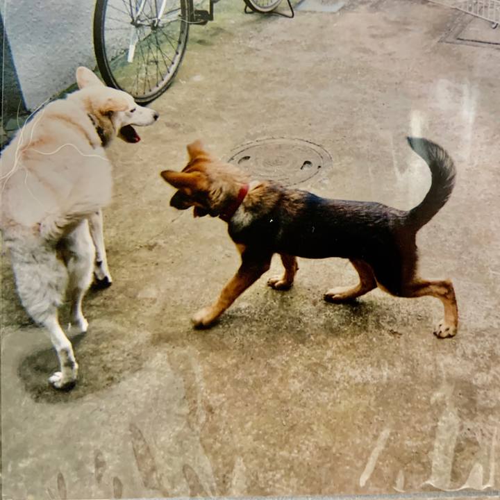 C6472353 e927 46c9 a716 e2aeb1c44fe2 1571643771891